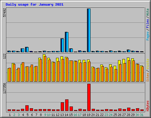 Daily usage for January 2021