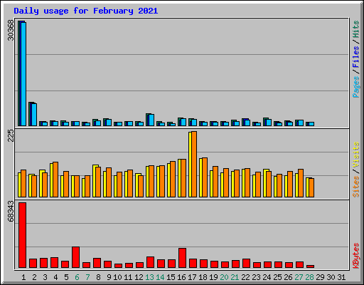 Daily usage for February 2021