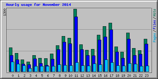 Hourly usage for November 2014