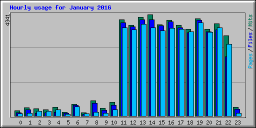 Hourly usage for January 2016