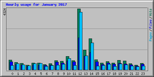 Hourly usage for January 2017