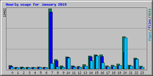 Hourly usage for January 2019