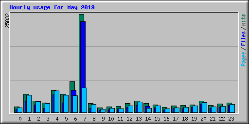 Hourly usage for May 2019