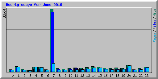 Hourly usage for June 2019
