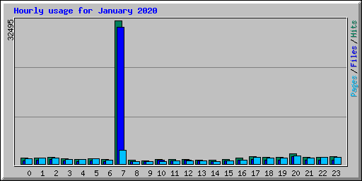 Hourly usage for January 2020