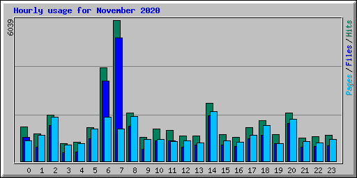 Hourly usage for November 2020