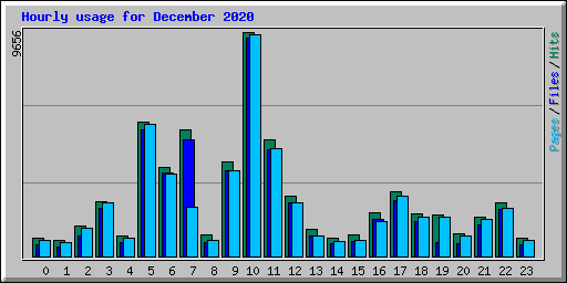 Hourly usage for December 2020