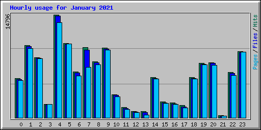 Hourly usage for January 2021