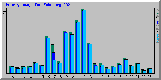 Hourly usage for February 2021