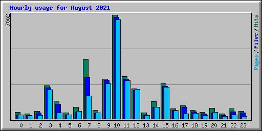 Hourly usage for August 2021