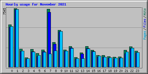 Hourly usage for November 2021