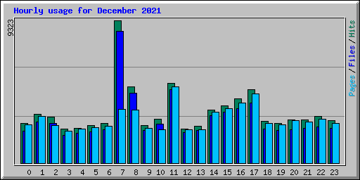 Hourly usage for December 2021