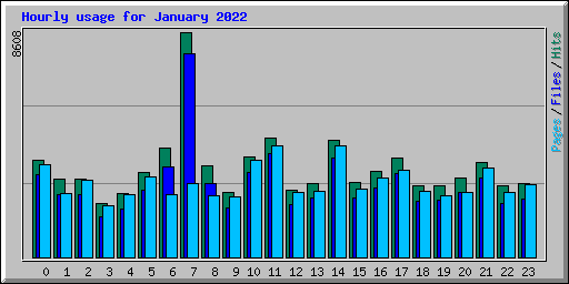 Hourly usage for January 2022