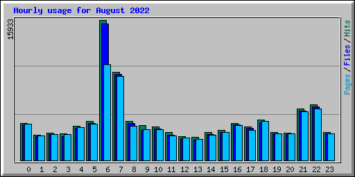 Hourly usage for August 2022