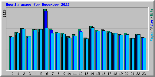 Hourly usage for December 2022