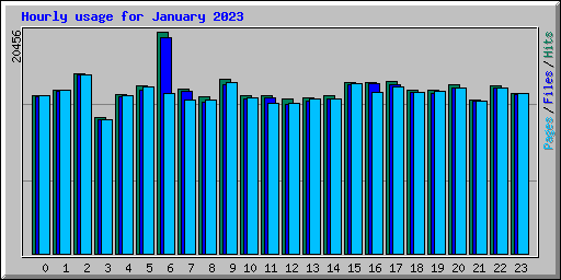 Hourly usage for January 2023
