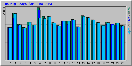 Hourly usage for June 2023
